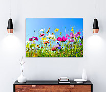 Obraz Voňavá lúka v lete 1478